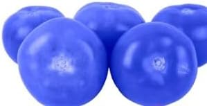 Blue Tomato Solanum lycopersicum for planting in home garden